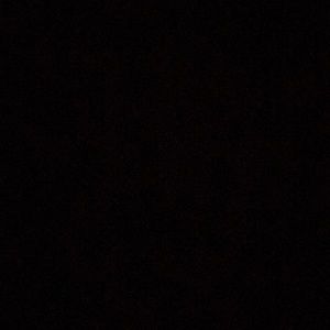 Meet your Posher, Augie